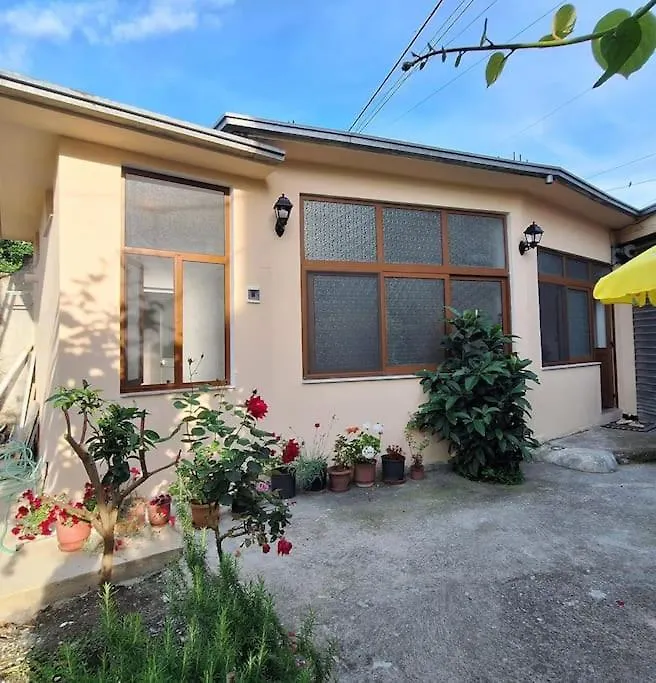 Flower House Shkodra
